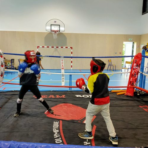 whatsapp image 2023 08 14 à 23.47.43