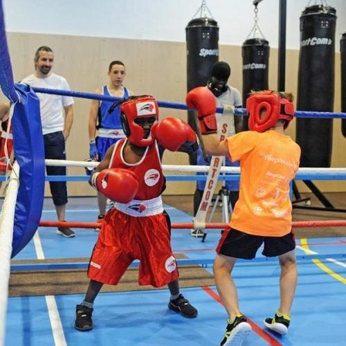 e4e98f29f49446d88d166aa4225ea3c5